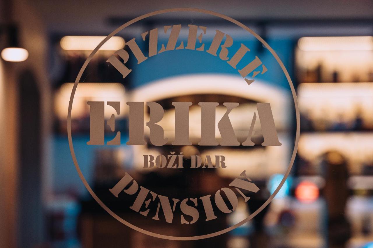 Penzion Erika Boží Dar 外观 照片